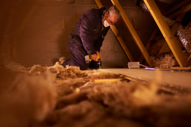 Best Insulation Air Sealing  in Chebanse, IL